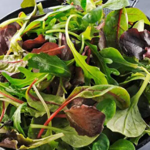 Salade mélange de feuilles