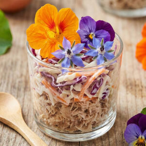 Rillette d'effiloché de porc et salade coleslaw (60ml)